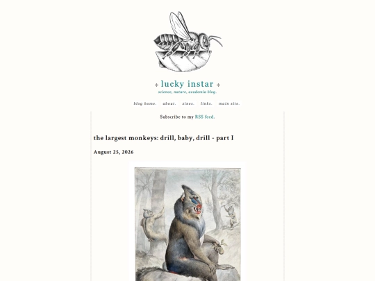 blog/mandrills screenshot
