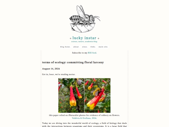 blog/terms_of_ecology screenshot