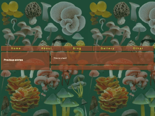 blog_entries/entry1 screenshot