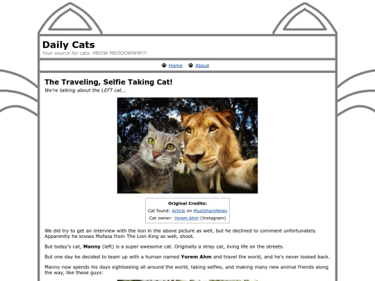 daily-cats/cats/00005-the-traveling-selfie-taking-cat screenshot
