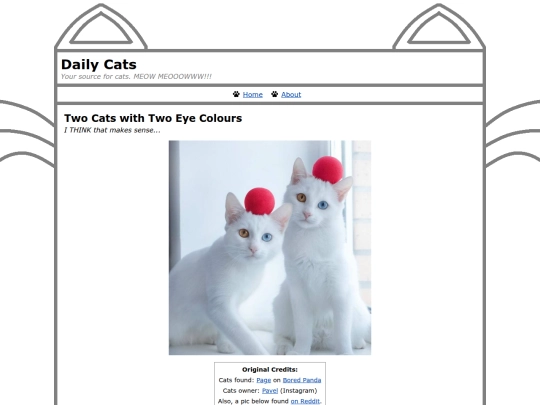 daily-cats/cats/00007-two-cats-with-two-eye-colours screenshot
