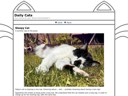 daily-cats/cats/00009-sleepy-cat screenshot