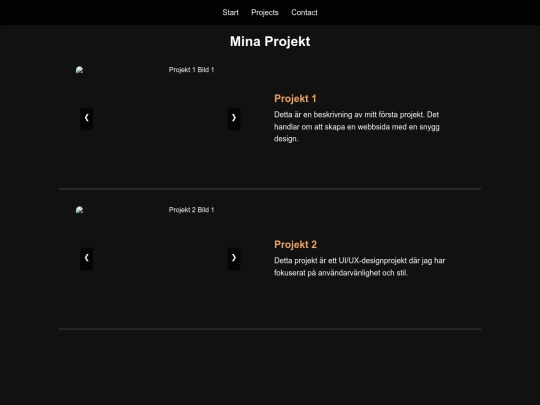 projects screenshot