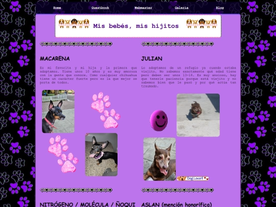 pets screenshot