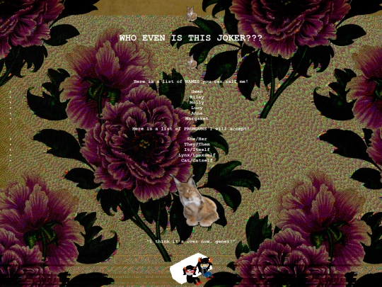 identity screenshot