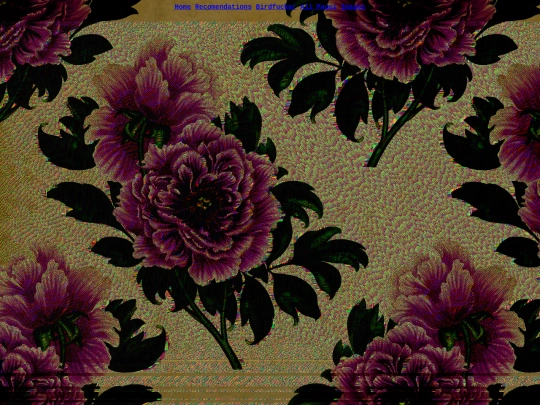notsecret screenshot