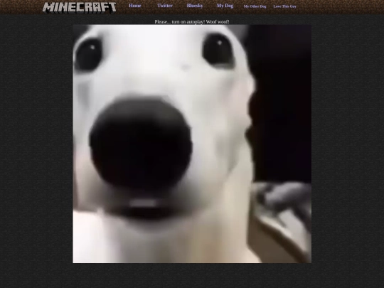 funnydog screenshot