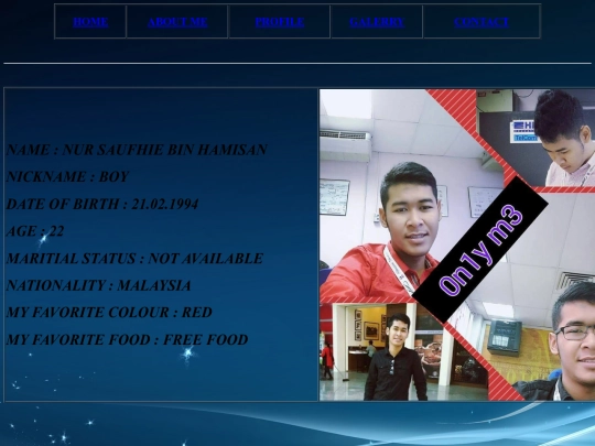 PROFILE screenshot