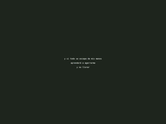 diario/310323 screenshot