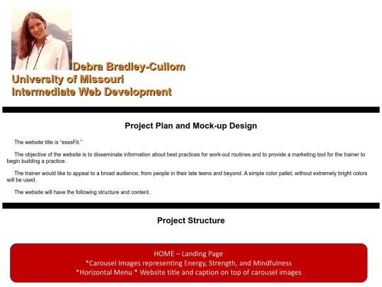 IWD_7370/Project_Plan screenshot