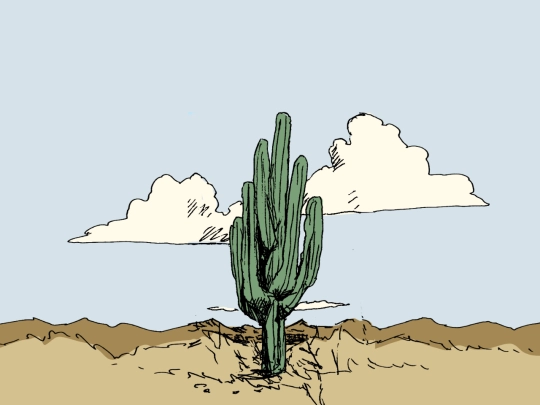 arizona screenshot