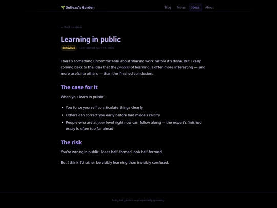 ideas/learning-in-public screenshot
