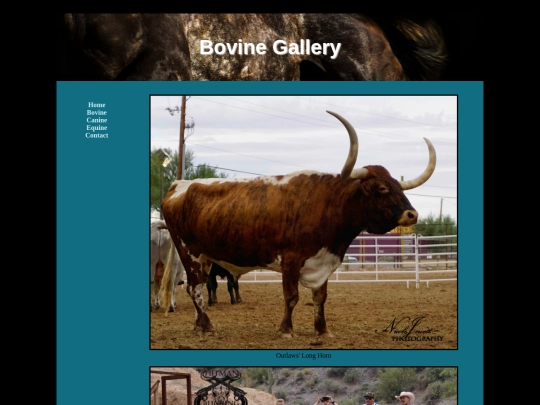 bovine screenshot