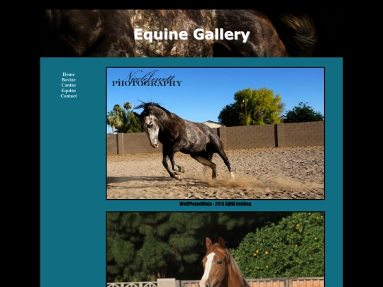 equine screenshot