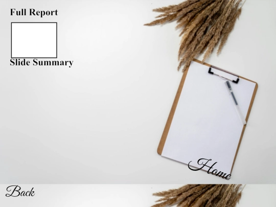 MKTProject screenshot