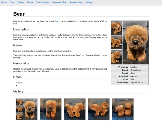 dogs/bear screenshot