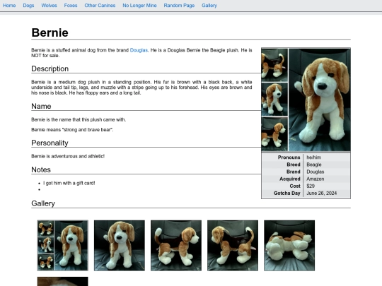 dogs/bernie screenshot