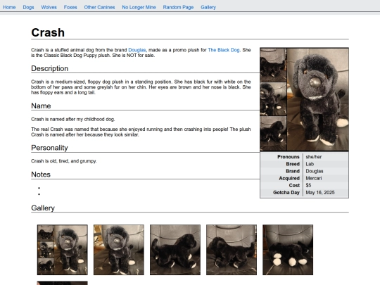 dogs/crash screenshot