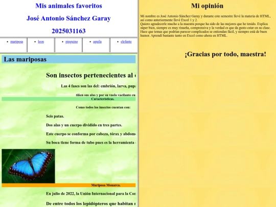 Final/parteabajo screenshot