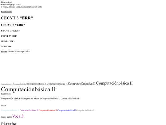 estructura básica/Extructura básica_y_Texto screenshot