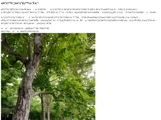 tanyashen/maple-ash screenshot