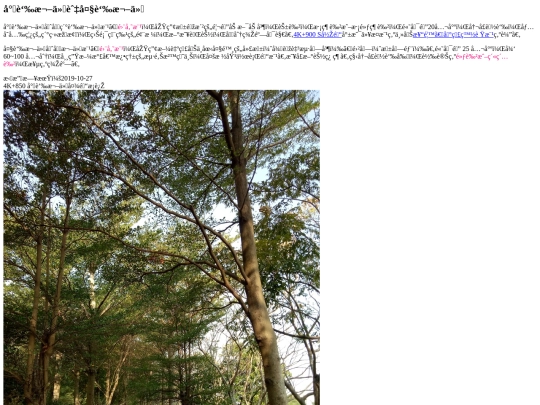 tanyashen/terminalia screenshot