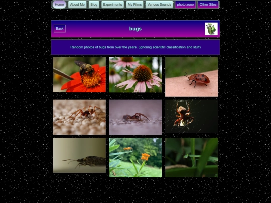 bugs screenshot
