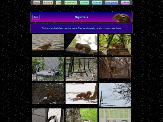 squirrels screenshot