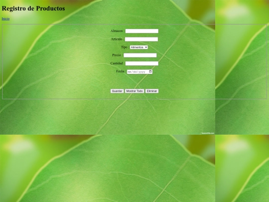 Actividad_en_CASA/Registrar screenshot