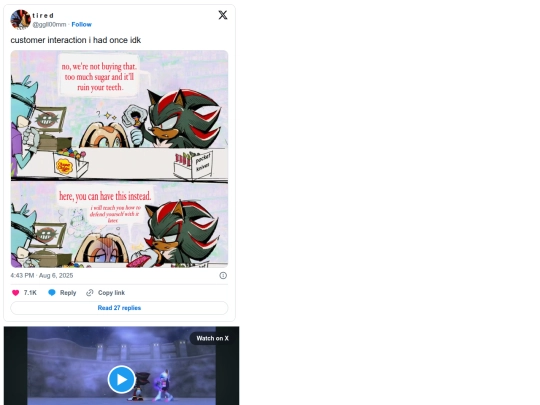 Who is Shadow T Hedgehog/Shadow screenshot