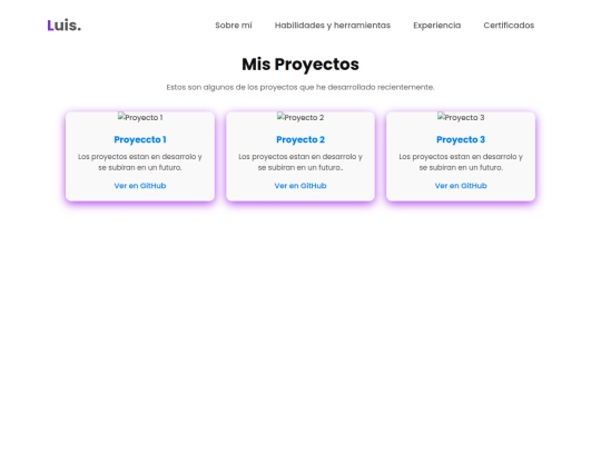src/proyectos screenshot