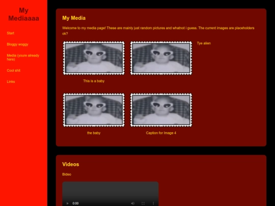media screenshot