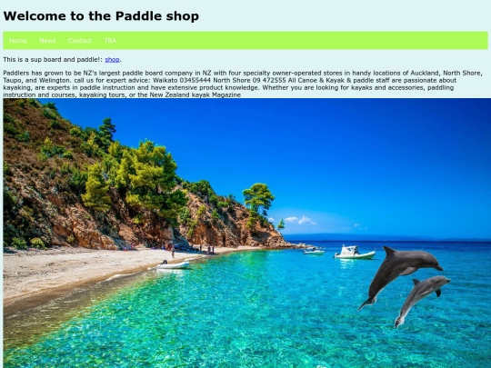 paddle screenshot