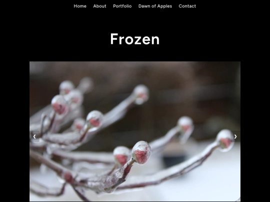 projects/frozen screenshot