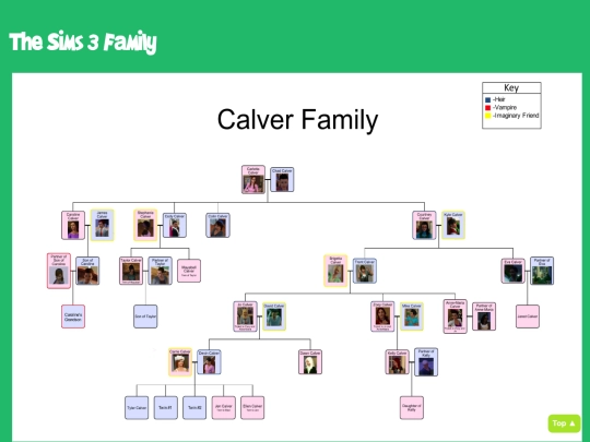 Interest pages/TheSims3Family screenshot