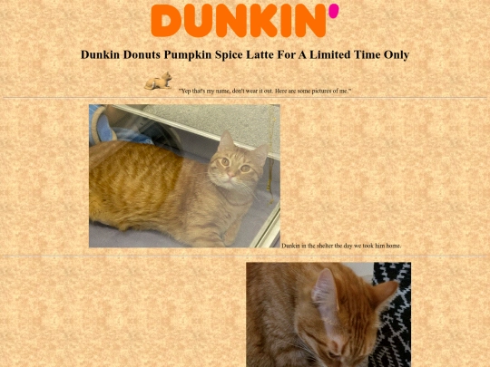 funstuff/dunkin screenshot