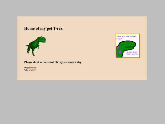 terry screenshot