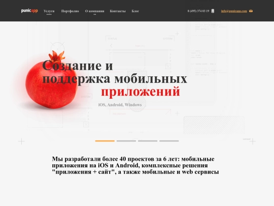 punicapp/website/20171117 screenshot
