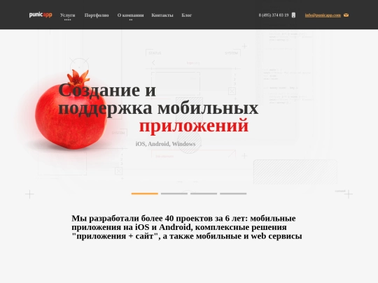 punicapp/website/20171117/resources/reload screenshot