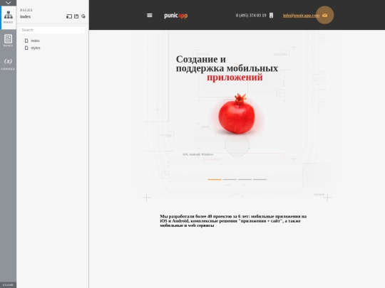 punicapp/website/20171117/start screenshot