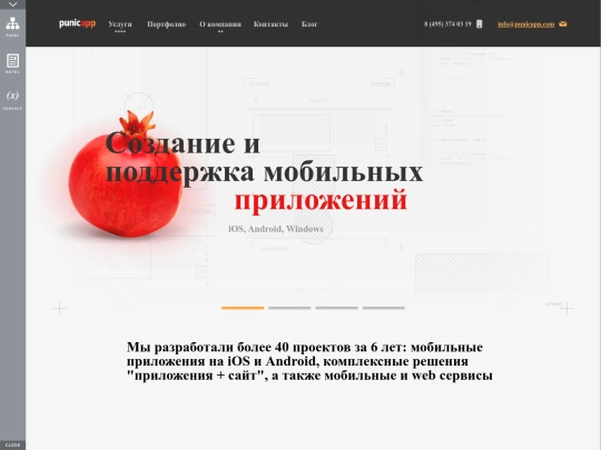 punicapp/website/20171117/start_g_0 screenshot
