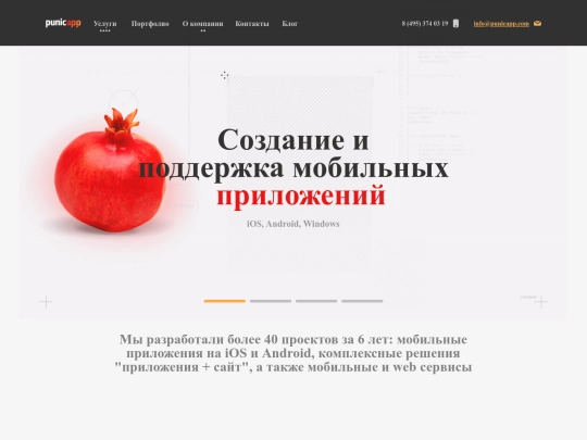 punicapp/website/20171120 screenshot