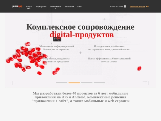 punicapp/website/20171120/resources/reload screenshot