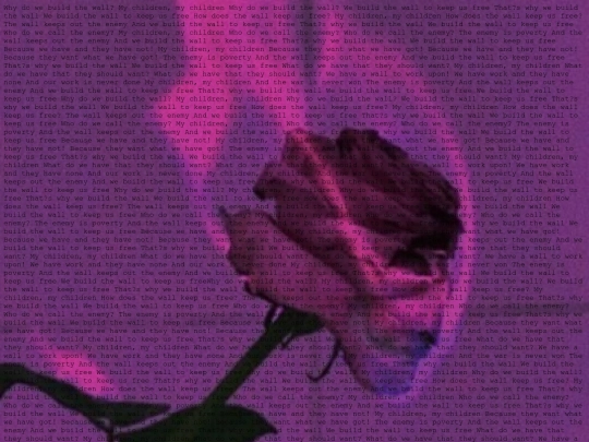 wdwbtw screenshot