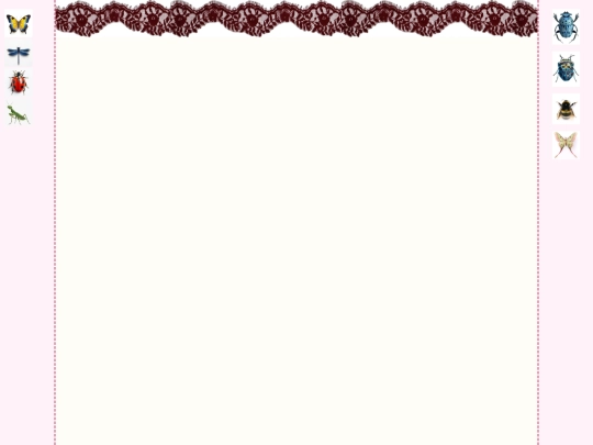 bug screenshot