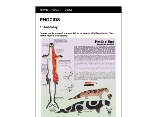 posts/phocids screenshot