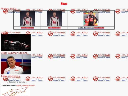 f1/haas screenshot
