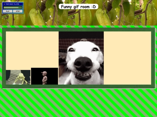 GIFROOM screenshot