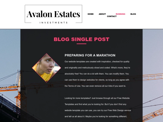 blogsinglepost screenshot