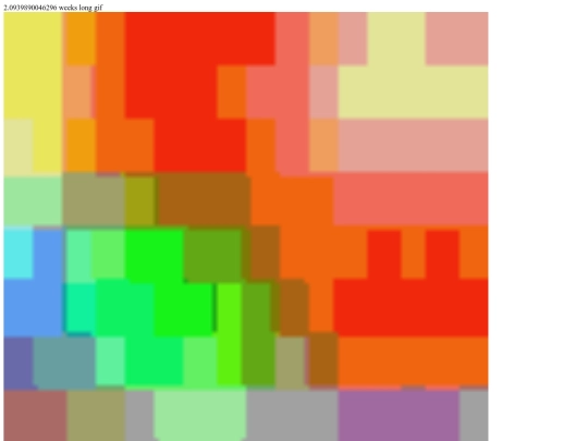 5 screenshot